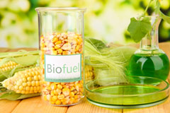 Ysceifiog biofuel availability