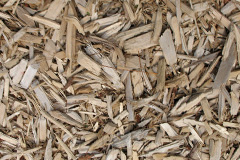 biomass boilers Ysceifiog